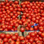Ghana’s tomato supply under threat as Burkina Faso export ban exposes food dependency