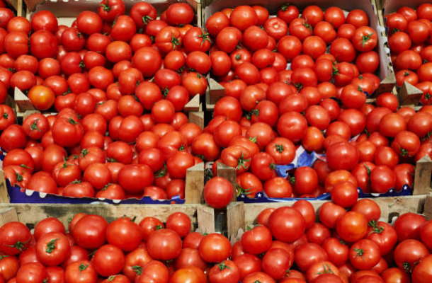 Ghana’s tomato supply under threat as Burkina Faso export ban exposes food dependency