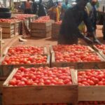 World Bank steps in with $20m support over tomato supply crisis after Sahel attack