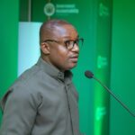 Gov’t to launch WhatsApp system for reporting power outages - Jinapor