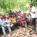 Ahafo cocoa farmers declare Agric Minister ‘wanted’ over price cut