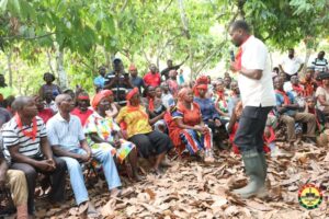 Ahafo cocoa farmers declare Agric Minister ‘wanted’ over price cut