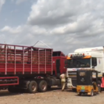 Nigeria frees Ghana-bound Onion trucks after trade standoff