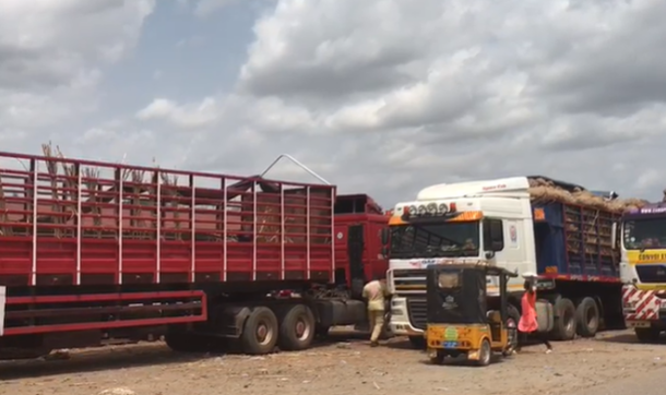 Nigeria frees Ghana-bound Onion trucks after trade standoff